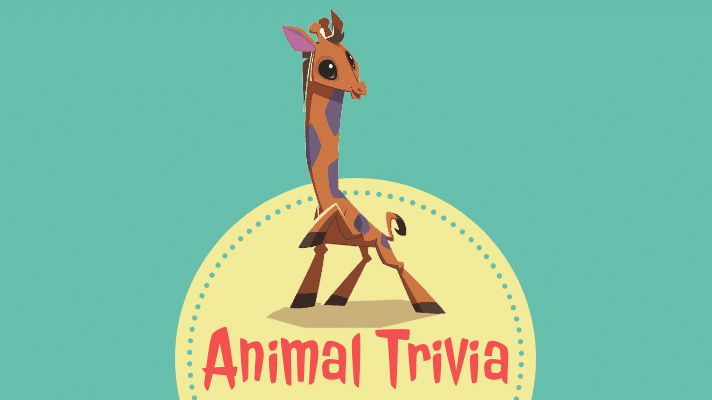 animal quiz questions