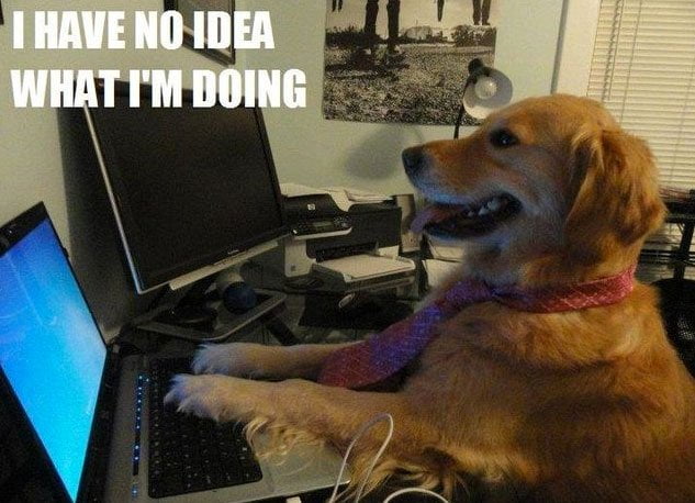 45+ Hilarious Dog Jokes We Could Find 2