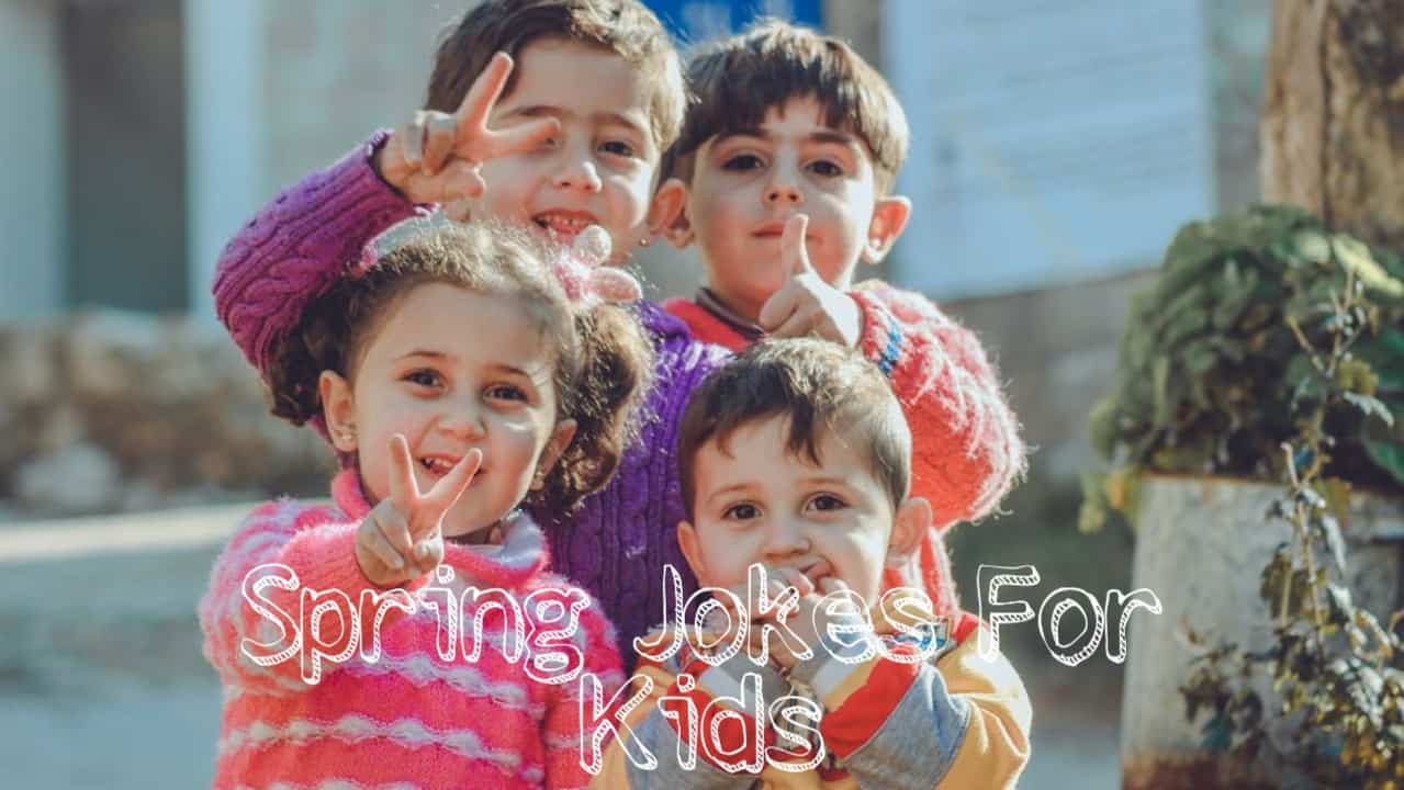 You are currently viewing Best Spring jokes For kids