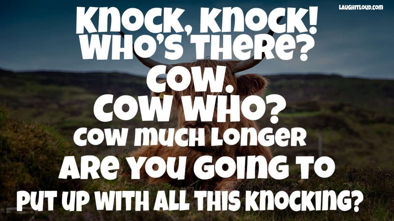 Top 100 Cow Jokes For Kids 1
