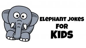 kids love to tell jokes, so today we bring you the best Elephant jokes for kids.