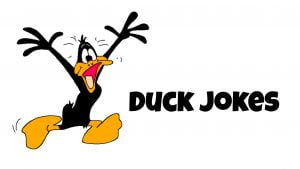 Read more about the article Duck Jokes