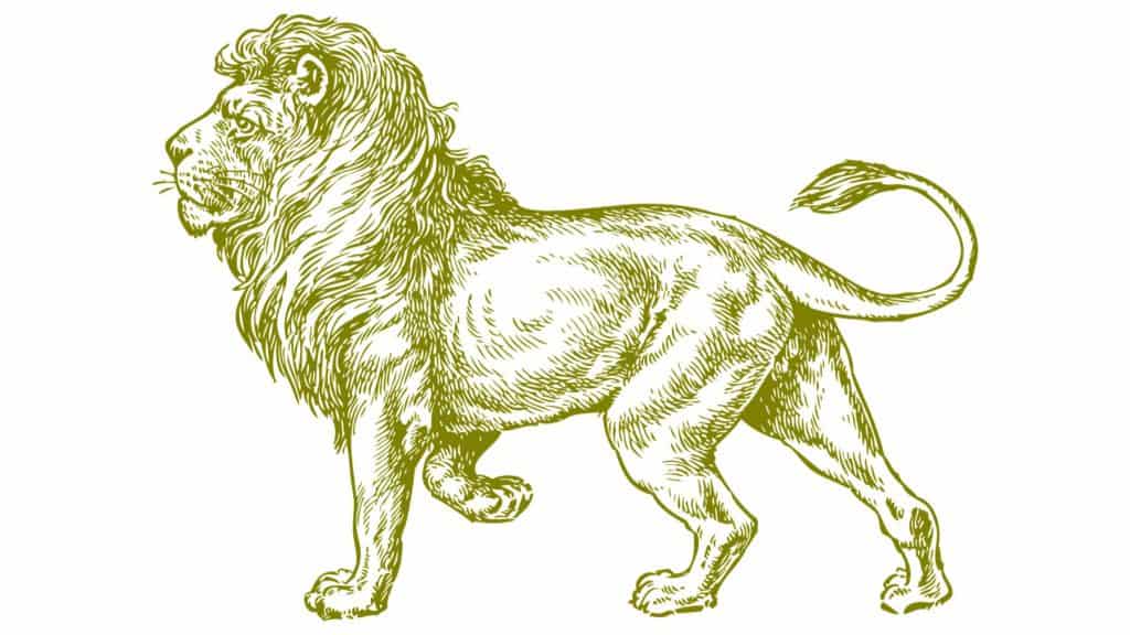 best lion jokes