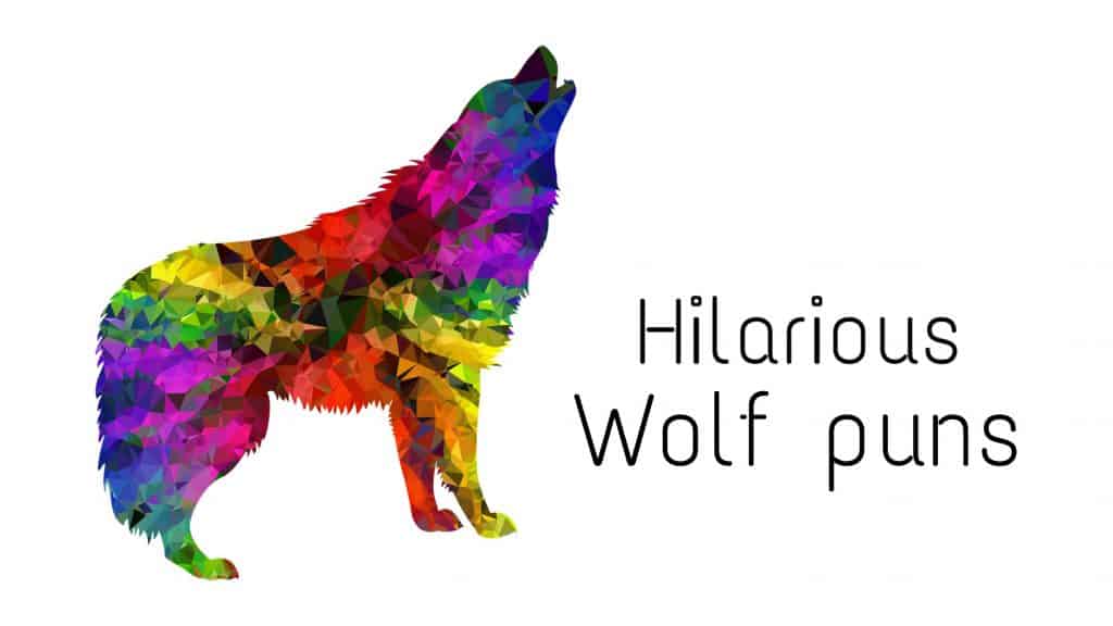 40 Wolf puns to make you Howl with Laughter | Laughitloud