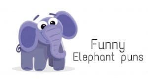Read more about the article 80+Elephant Puns To Make You Giggle For Hours
