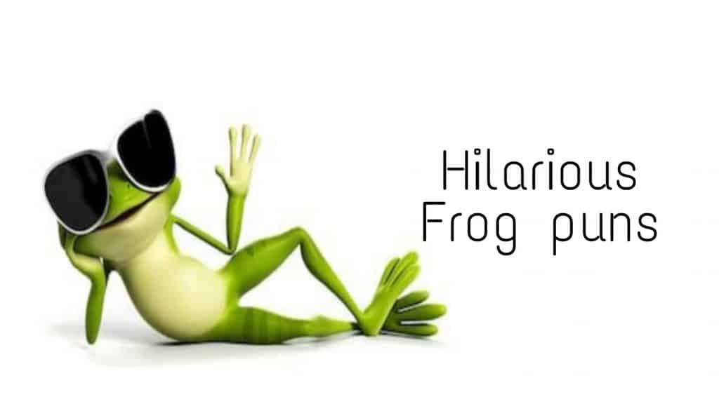 84 Frog Puns And Jokes To Make You Laugh Laughitloud