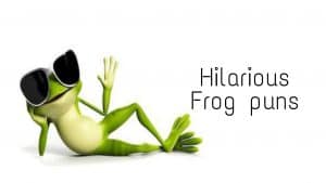 Read more about the article 84+ Frog Puns And Jokes To Make You Laugh