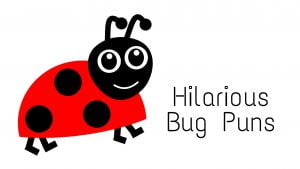 funny bug puns
