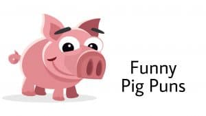 Read more about the article 91 Hilarious Pig Puns That Will Make you squeal with laughter