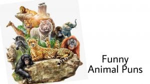 Read more about the article 67 Animal Puns That Will Make You Laugh Like Hyena