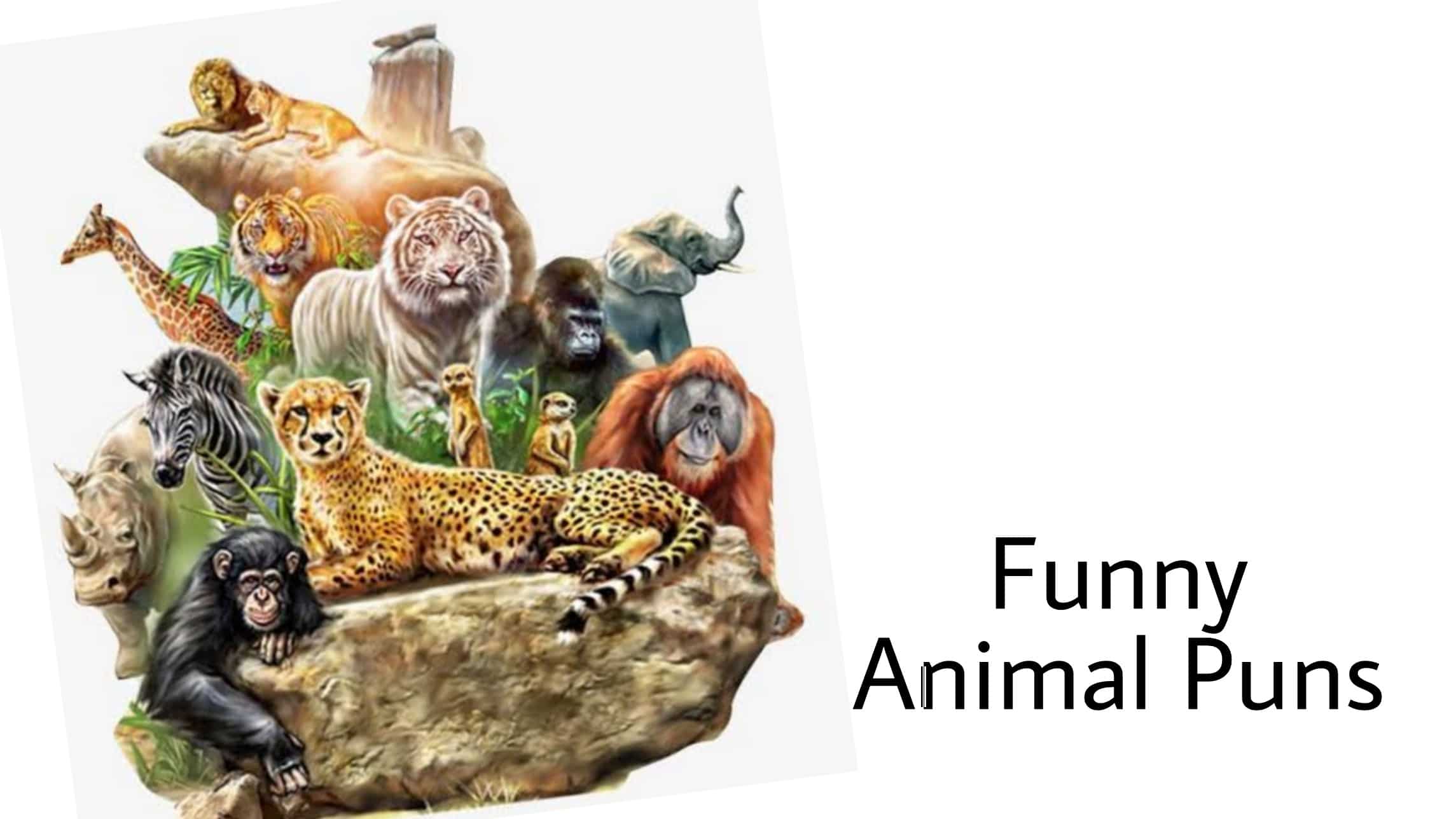 You are currently viewing 67 Animal Puns That Will Make You Laugh Like Hyena
