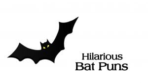 bat puns