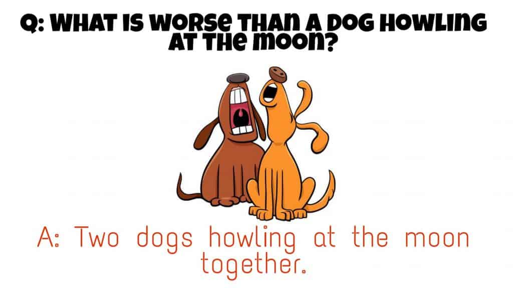 puns