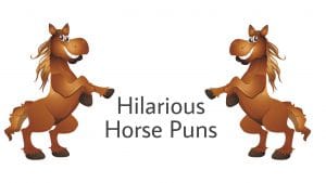Funniest horse puns