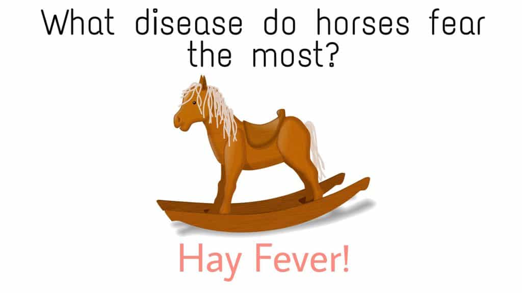 Beat funny horse puns