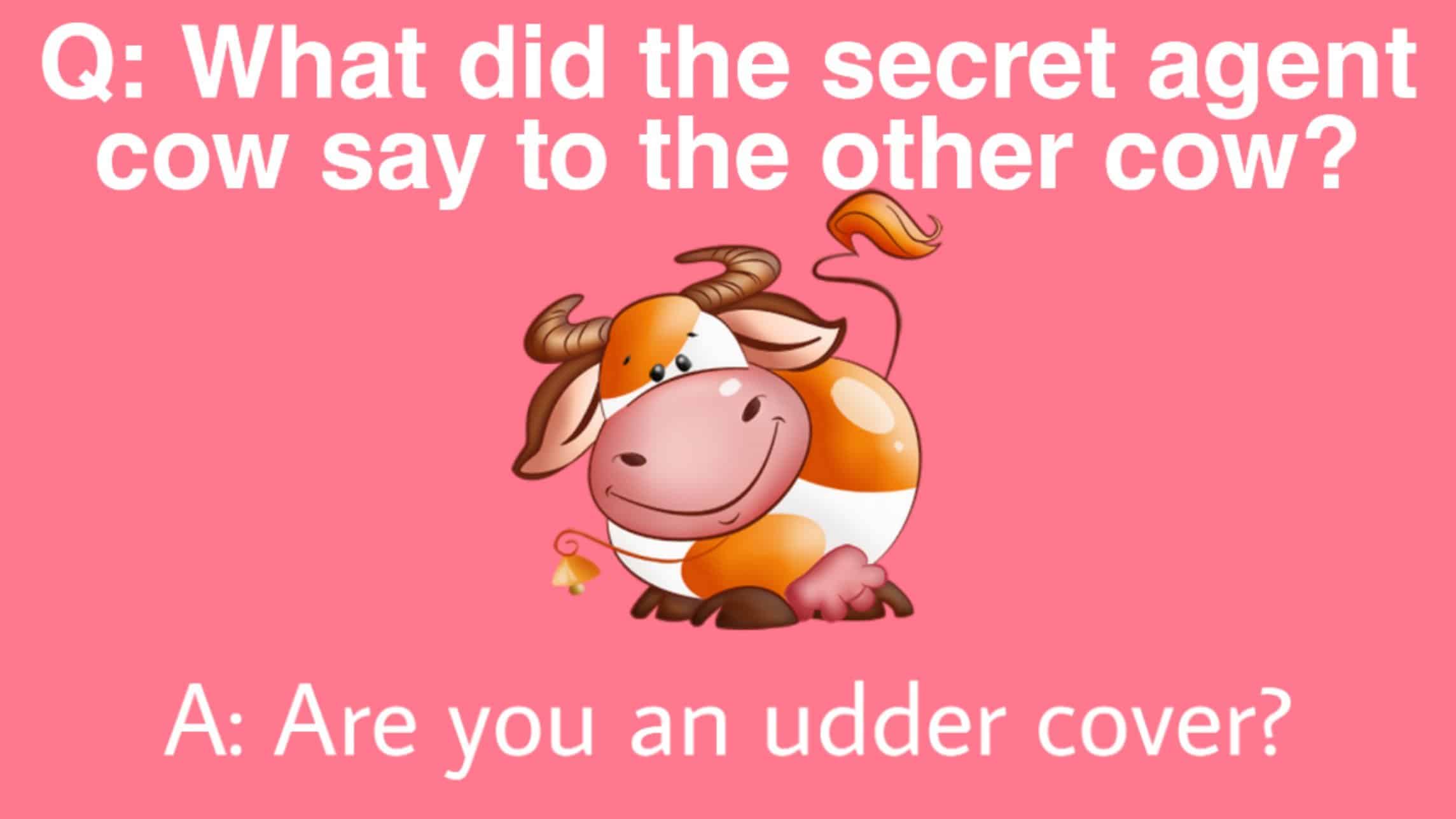 Cow puns