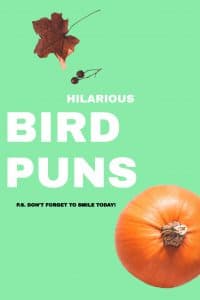 Read more about the article 60+ Birds Puns That Will Ruffle Your Feathers.