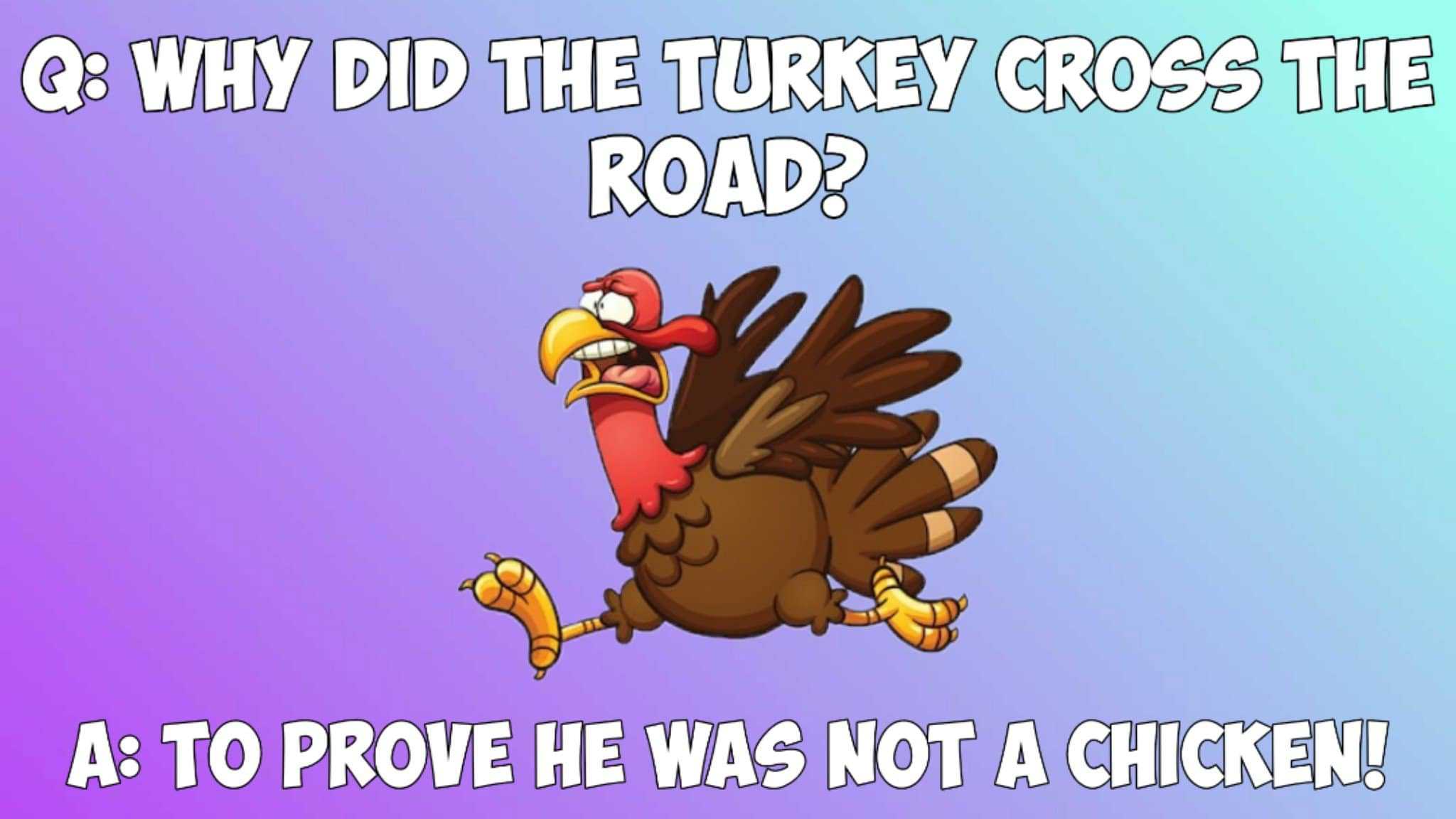 Funny Collection of bird puns