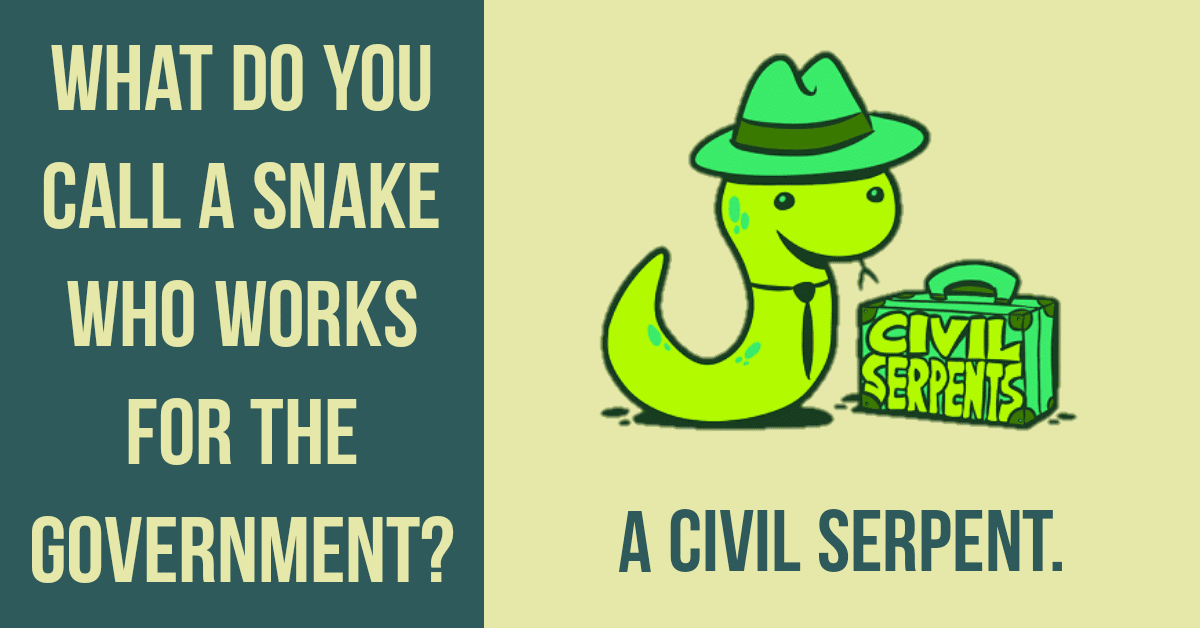 100+ Snake Puns you shouldn't Hiss Out 1