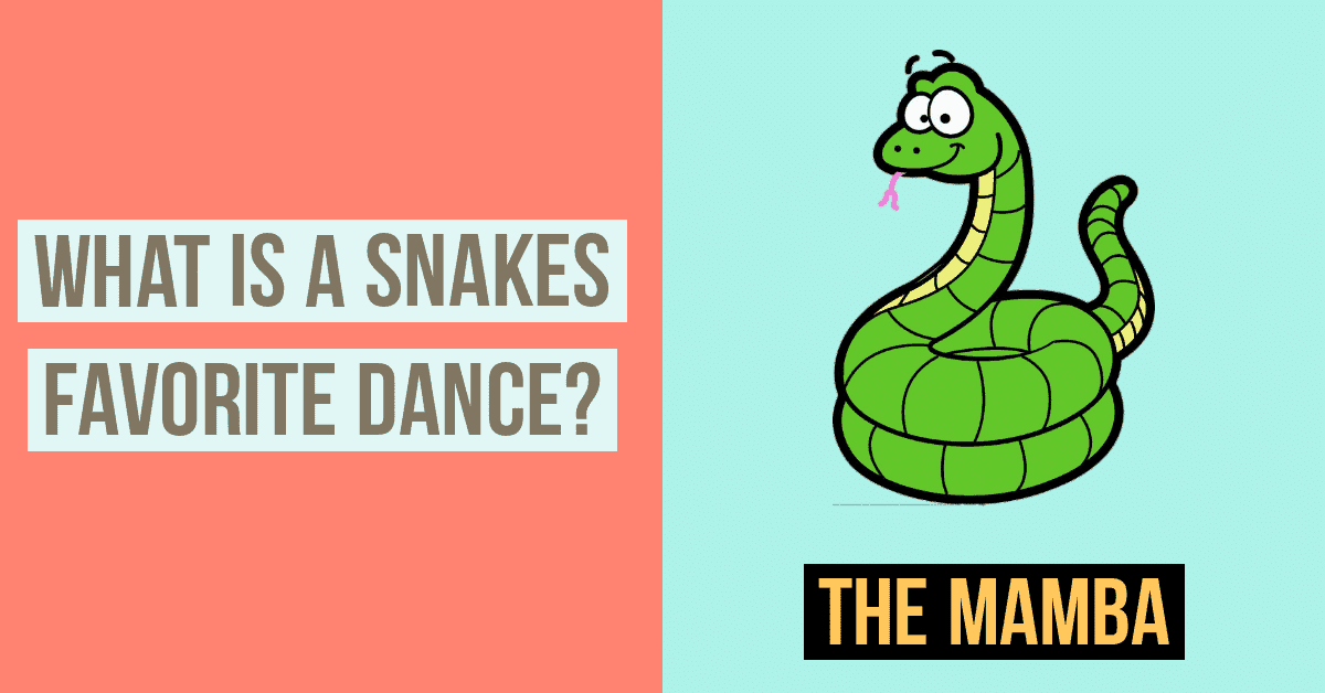 Puns about snakes
