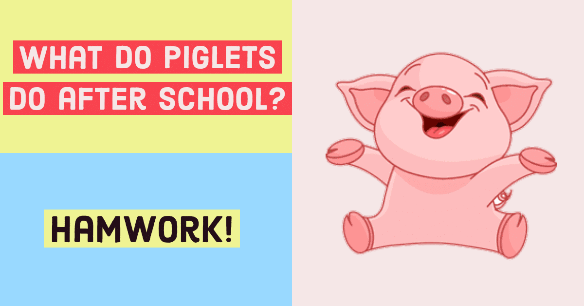 Puns about pigs