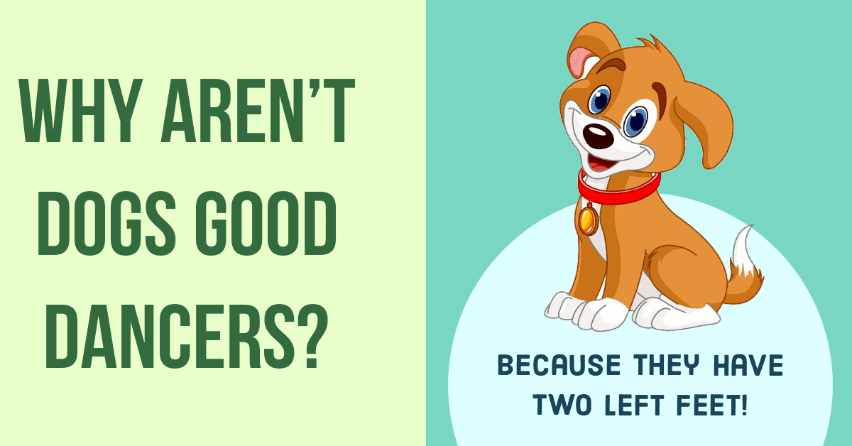 Dog jokes