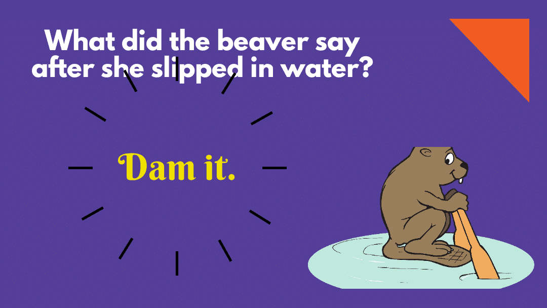 60 Water Puns That Will Have You Drowning In Laughter 1