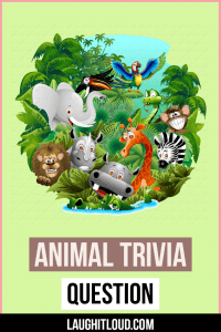 Read more about the article 105+ Animal Trivia Questions With Answers
