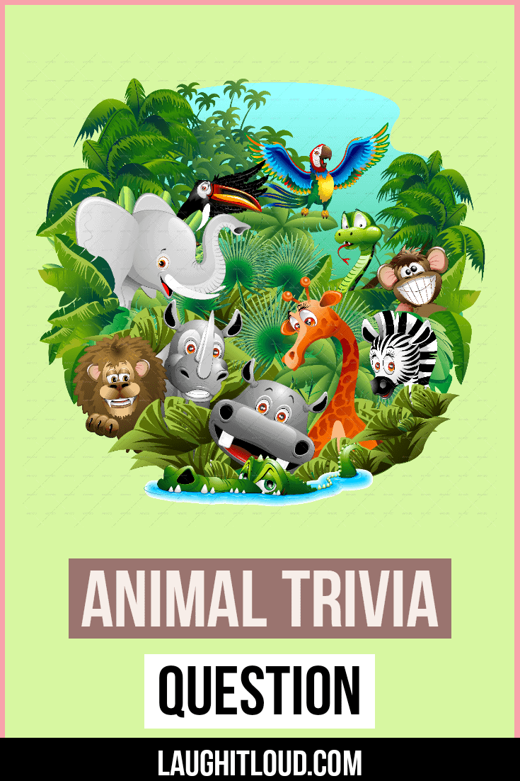 105 Animal Trivia Questions With Answers Laughitloud