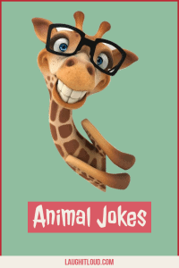 Read more about the article 110+ Animal jokes That Will Spark Laughter in You