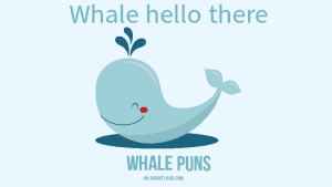 Read more about the article 40 Best Whale Puns