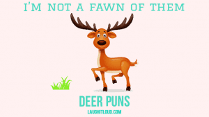 Read more about the article 40 Deer Puns That Are So Deer To Me
