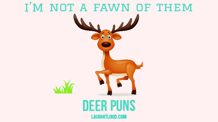 You are currently viewing 40 Deer Puns That Are So Deer To Me