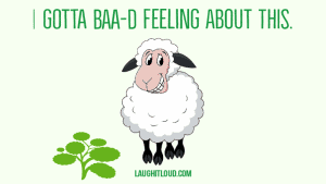 Read more about the article 55 Hilarious Sheep Puns Ewe Wolly Love