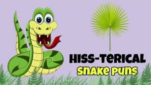 Read more about the article 100+ Snake Puns you shouldn’t Hiss Out
