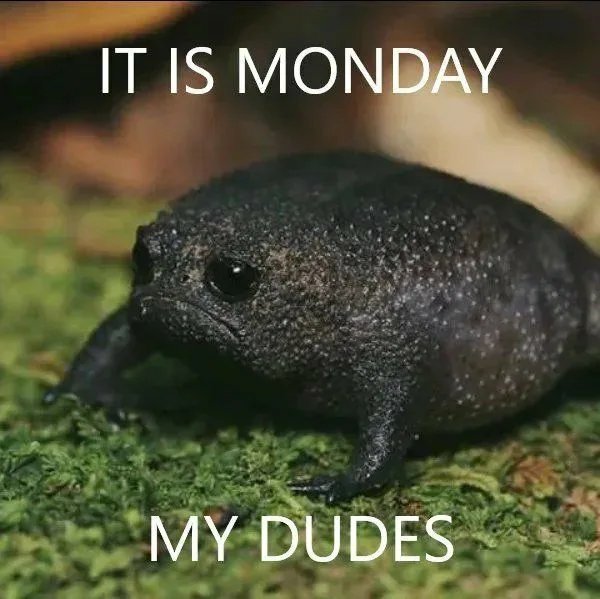 67 Monday Memes That Will Help You Go Through This Day! 2