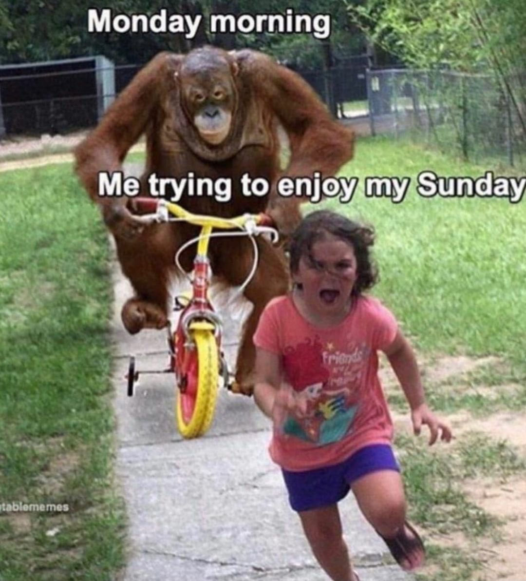 67 Monday Memes That Will Help You Go Through This Day! 40
