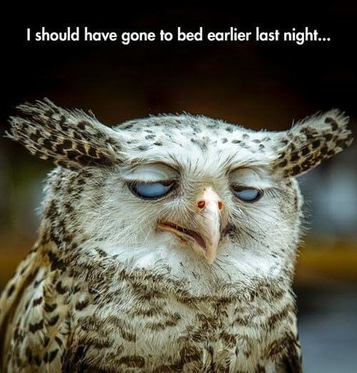 67 Monday Memes That Will Help You Go Through This Day! 50