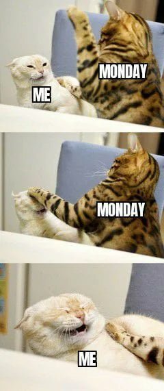 67 Monday Memes That Will Help You Go Through This Day! 23