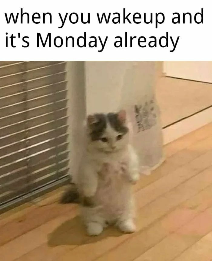 67 Monday Memes That Will Help You Go Through This Day! 18
