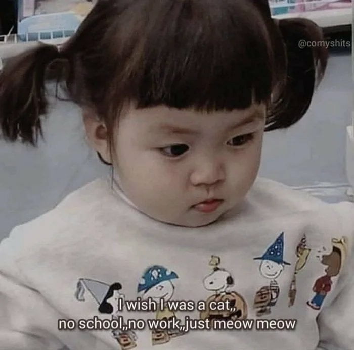 67 Monday Memes That Will Help You Go Through This Day! 15