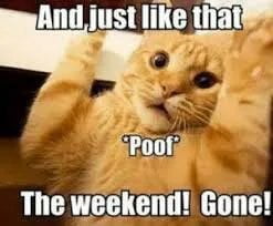 67 Monday Memes That Will Help You Go Through This Day! 19