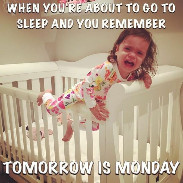 67 Monday Memes That Will Help You Go Through This Day! 48