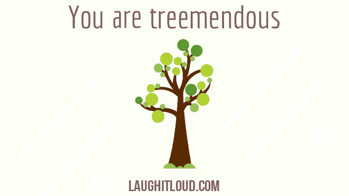 You are currently viewing 50 Tree Puns That Will Make You Laugh