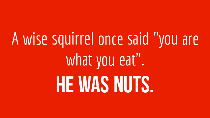 Squirrel puns