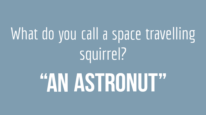 Squirrel puns