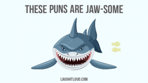 shark puns